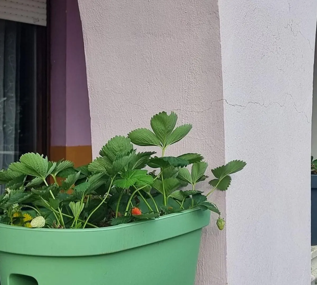Apartmani Stefy-100 M From The Sea Banjole 0*,  Kroatien
